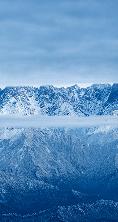 关于welcome to 365777